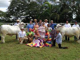 Wee-Yiong Fung cattle farm in Chiriqui, Panama – Best Places In The World To Retire – International Living