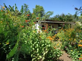 Farm in La Concepción, Masaya – Best Places In The World To Retire – International Living
