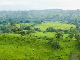 Pedasi Panama rolling green hills – Best Places In The World To Retire – International Living