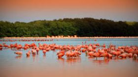 Bio Reserve – Best Places In The World To Retire – International Living