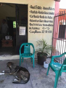 Signs at Galvan Real Estate, Lo de Marcos, Nayarit, Mexico – Best Places In The World To Retire – International Living