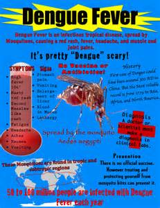 Dengue Fever Poster – Best Places In The World To Retire – International Living