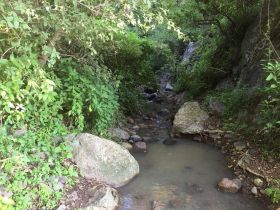 Brook by hiking trail in hills above Ajijic – Best Places In The World To Retire – International Living