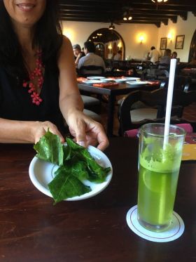 Green drink at Susana Internacional, near Merida,Mexico – Best Places In The World To Retire – International Living