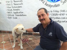 Dr. Memo, the vet in Ajijic – Best Places In The World To Retire – International Living