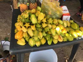 Star fruit for sale near Lo de Marcos, Nayarit, Mexico – Best Places In The World To Retire – International Living