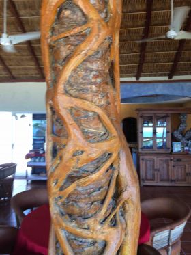 Matapalo beam holding a palapa roof at La Ventana Bay Resort, Mexico – Best Places In The World To Retire – International Living