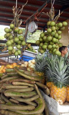 Produce at El Valle, Panama market – Best Places In The World To Retire – International Living