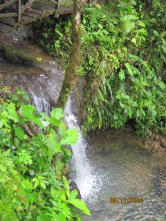 Stream and waterfall at Altos del Maria, Panama – Best Places In The World To Retire – International Living
