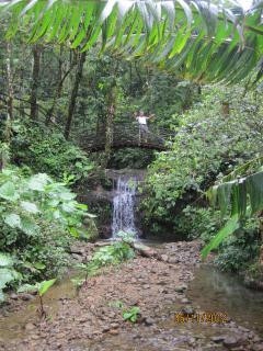 Jungle waterfall at Altos del Maria, Panama – Best Places In The World To Retire – International Living