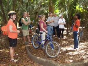 Biking through the jungle in Belize – Best Places In The World To Retire – International Living