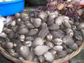 Clams for sale at the Oriental Market, Managua, Nicaragua – Best Places In The World To Retire – International Living