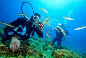 Diving off Sesimbra, Portugal – Best Places In The World To Retire – International Living
