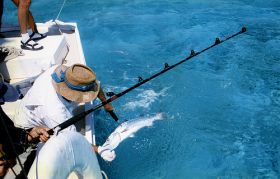 Fishing for barracuda in Belize – Best Places In The World To Retire – International Living
