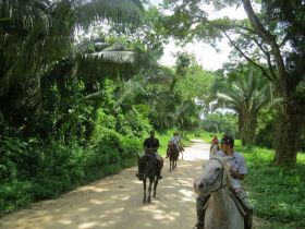 Horseback riding with Banana Bank Lodge and Belize Horseback Adventures, Belmopan, Belize – Best Places In The World To Retire – International Living