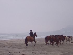Horses for hire on Rosarito Beach, Mexico – Best Places In The World To Retire – International Living