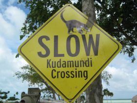 Kudamundi crossing sign, Corozal, Mexico – Best Places In The World To Retire – International Living