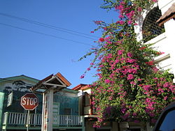 Neighborhood in San_Ignacio, Cayo, Belize – Best Places In The World To Retire – International Living