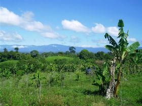 Panama near the Costa Rica border, Panama – Best Places In The World To Retire – International Living