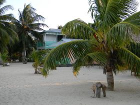Placencia beach house, Belize – Best Places In The World To Retire – International Living