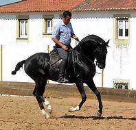 Riding a lusitano in Portugal – Best Places In The World To Retire – International Living