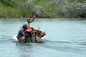 Transporting logs by boat, near Orchid Bay, Belize – Best Places In The World To Retire – International Living