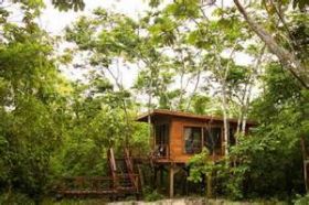 Tree house built by Franklin Syrowatka, Cayo, Belize – Best Places In The World To Retire – International Living