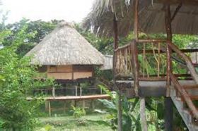 Tree lodges, Belize – Best Places In The World To Retire – International Living