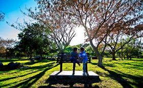 El Parque Hundido en Mérida, Mexico – Best Places In The World To Retire – International Living