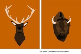 Canadians expats depicted as elk and American expats as Bison graphic by Jet Metier – Best Places In The World To Retire – International Living