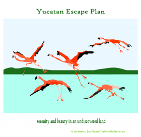 Flamingoes in the Yucatan, Mexico – Best Places In The World To Retire – International Living