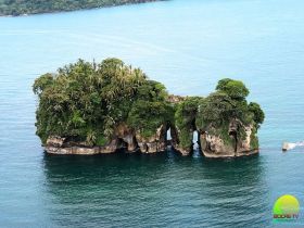  Isla Pájaro, Isla Colon, Bocas del Toro, Panamà – Best Places In The World To Retire – International Living