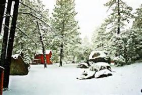 Snow in Sierra de Juárez Baja California, Mexico  – Best Places In The World To Retire – International Living