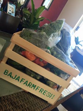 Baja Farm Fresh produce – Best Places In The World To Retire – International Living