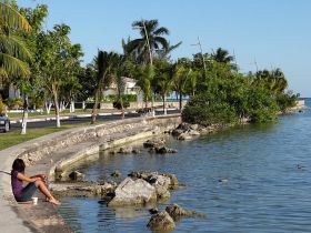 Boulevard de Bahia, Chetumal, Quintana Roo, Mexico – Best Places In The World To Retire – International Living