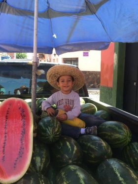 Boy sitting amongst the watermelons in Ajijic
