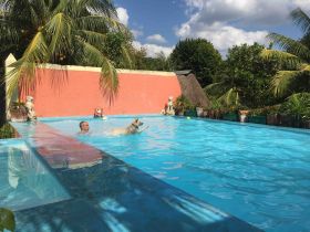 Chuck Bolotin and dog in Hacienda NoPhat pool, Merida, Mexico