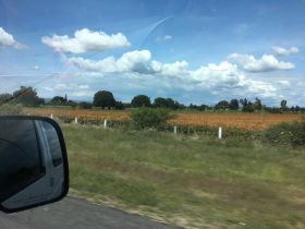 Corn fields on the road to San Miguel de Allende