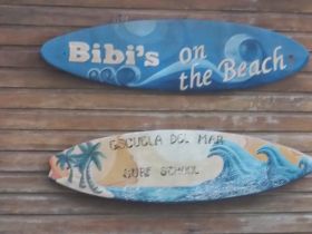 Bocas del Toro Bibi's On The Beach Surf School signs – Best Places In The World To Retire – International Living