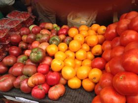Fresh vegetables in a Puerto Vallarta market – Best Places In The World To Retire – International Living
