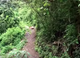 Hiking in Ajijic