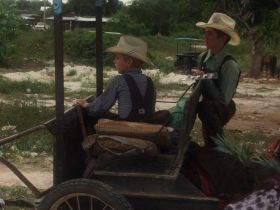 Mennonite boys near Bacalar, Mexico