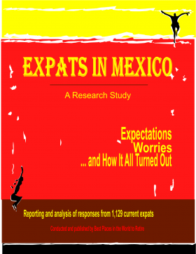 Expats in Mexico Research Study book cover