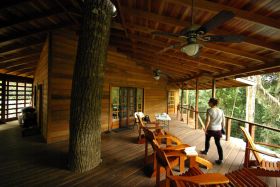 Santa Maria Tree Growing Through the Deck – Best Places In The World To Retire – International Living