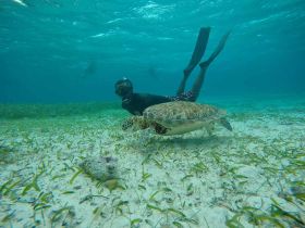 Scuba diving in Belize – Best Places In The World To Retire – International Living