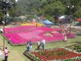 Flower garden in Boquete, Panama, aerial view – Best Places In The World To Retire – International Living