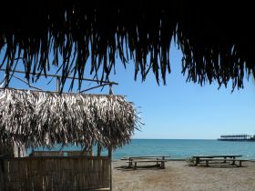 From a small bar next to the bus stop in Puerto Armuelles  – Best Places In The World To Retire – International Living