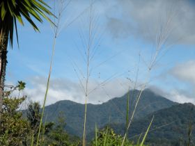 Mountains in Boquete, Panama – Best Places In The World To Retire – International Living