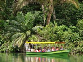 Jungle Land Explorers exploring Lake Gatun in the Panama Canal Zone near Gamboa – Best Places In The World To Retire – International Living