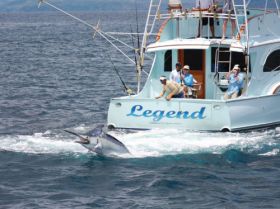 Black Marlin on the line with Cebaco Bay Sportfishing Club – Best Places In The World To Retire – International Living